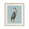 Stupell Industries Coastal Pelican Muted Blue Framed Print Under Glass, design by Julie DeRice
